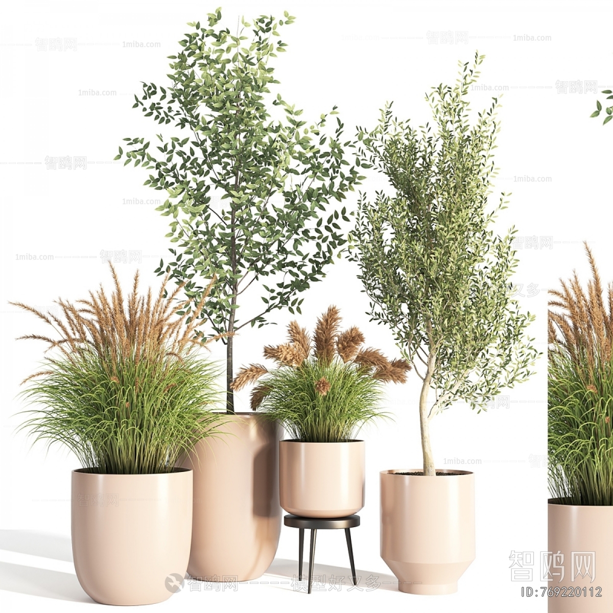 Modern Ground Green Plant Potted Plants