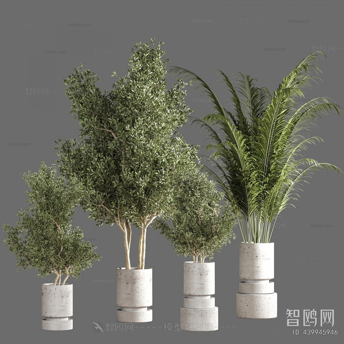 Modern Ground Green Plant Potted Plants