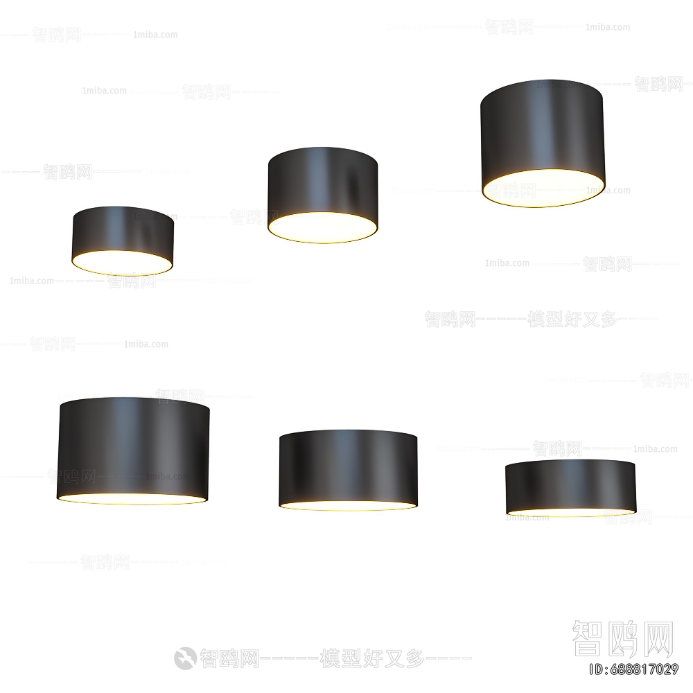 Modern Ceiling Ceiling Lamp