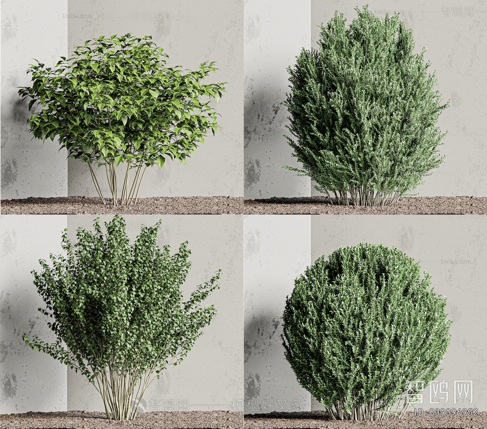 Modern Shrubbery