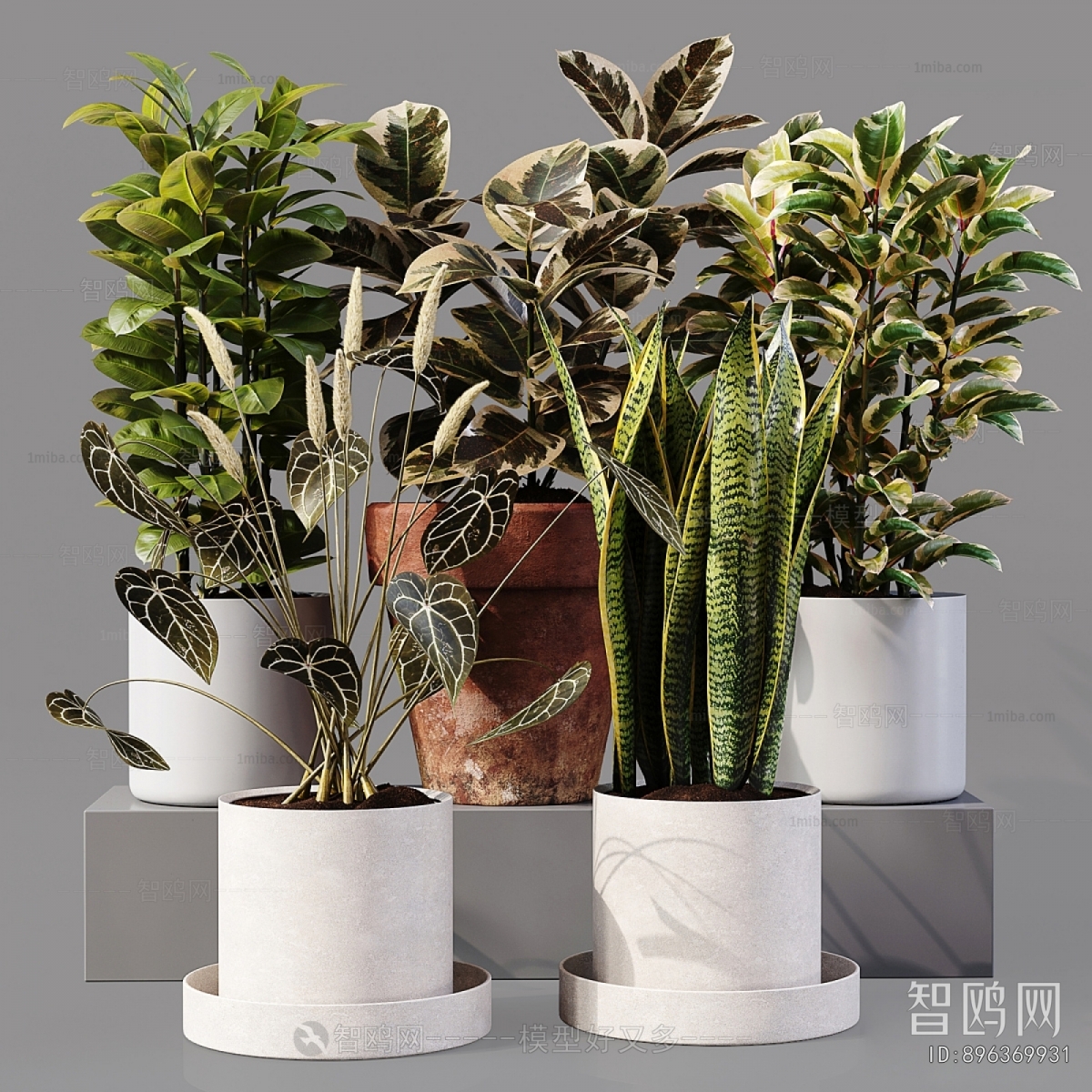 Modern Ground Green Plant Potted Plants