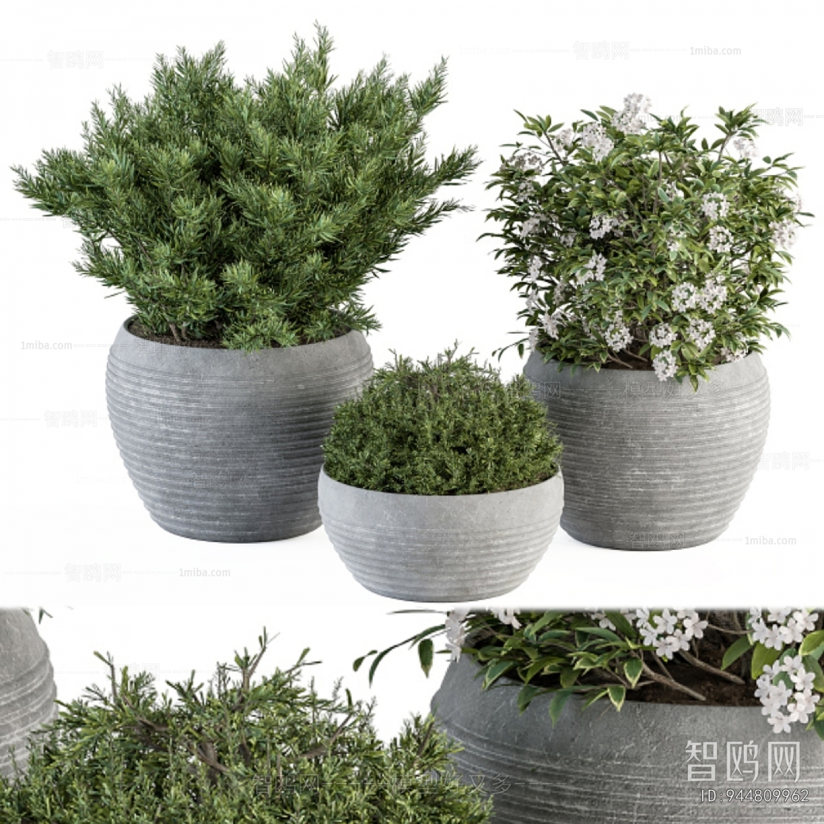 Modern Ground Green Plant Potted Plants