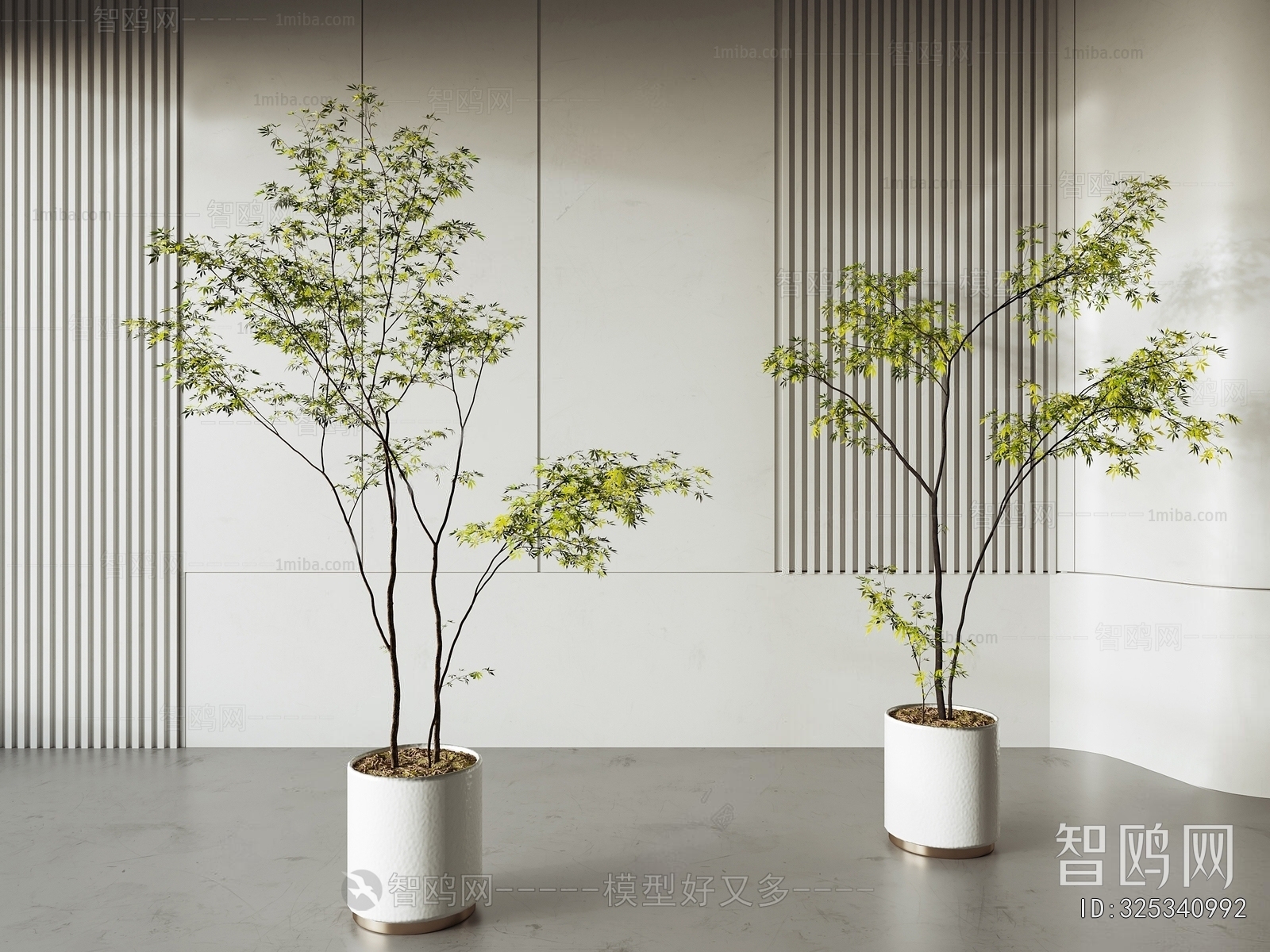 Modern Ground Green Plant Potted Plants