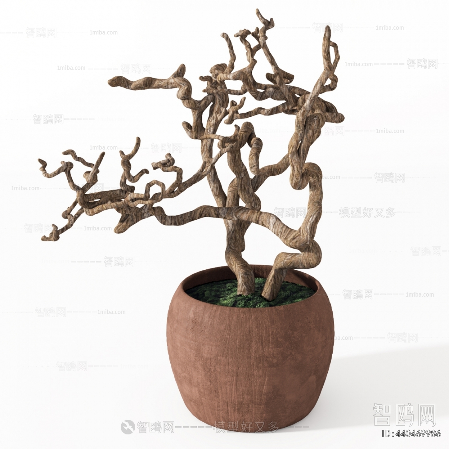 Modern Bonsai