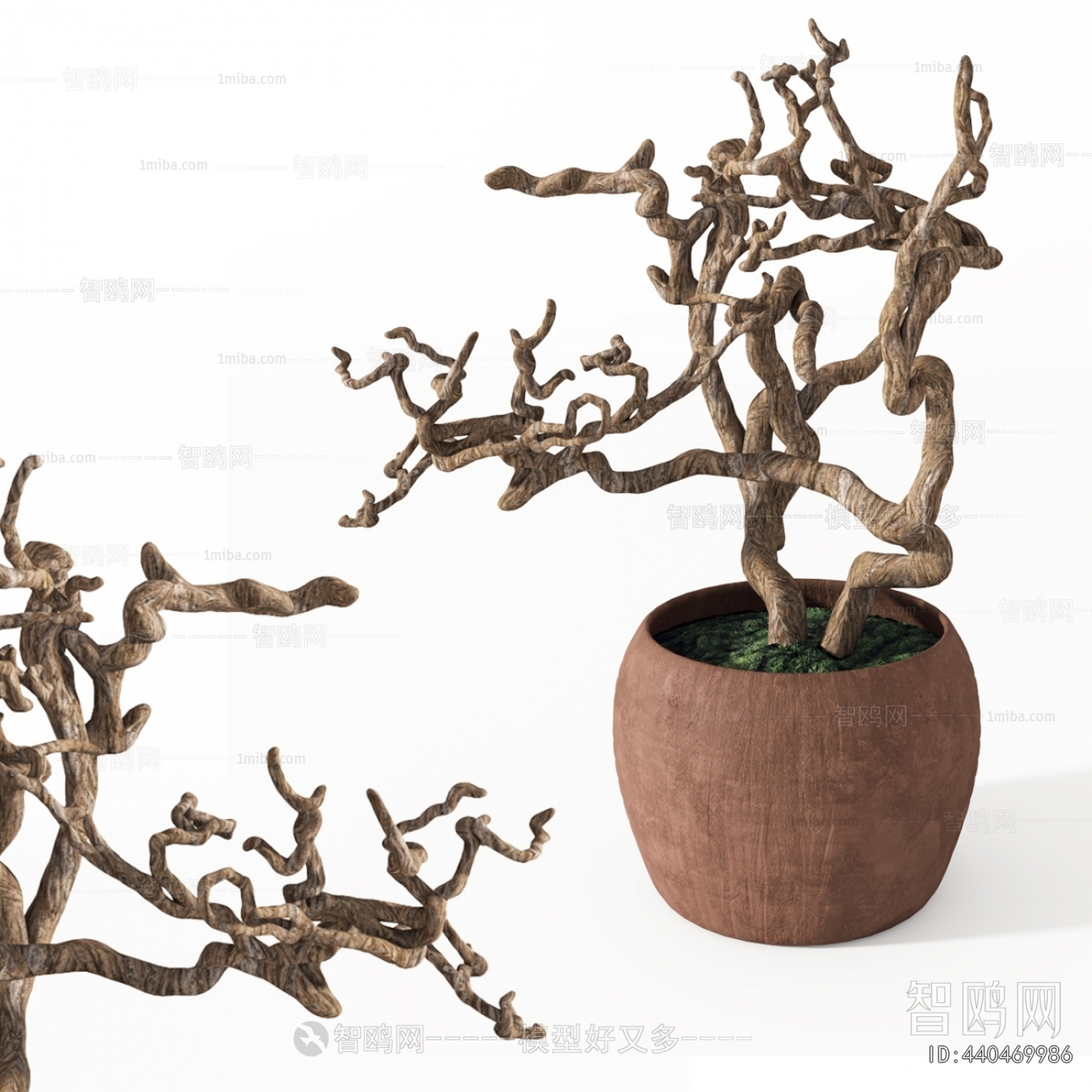 Modern Bonsai