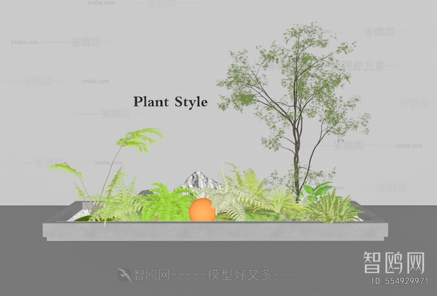 Modern Plant Landscaping