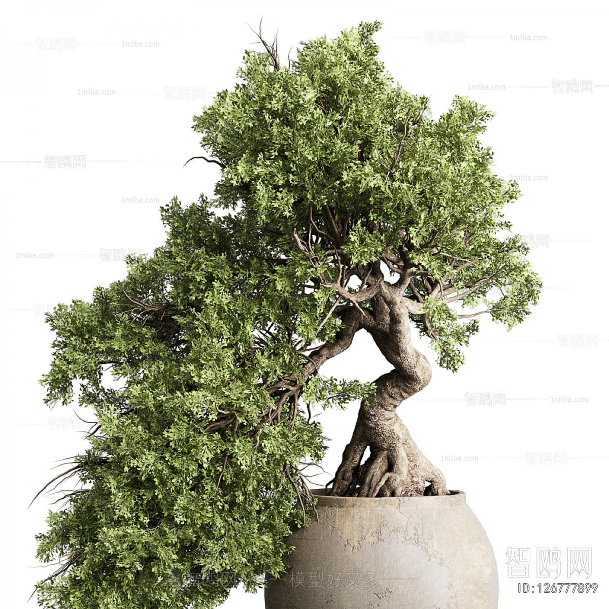 Modern Bonsai