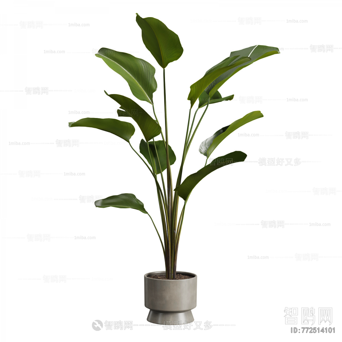 Modern Ground Green Plant Potted Plants