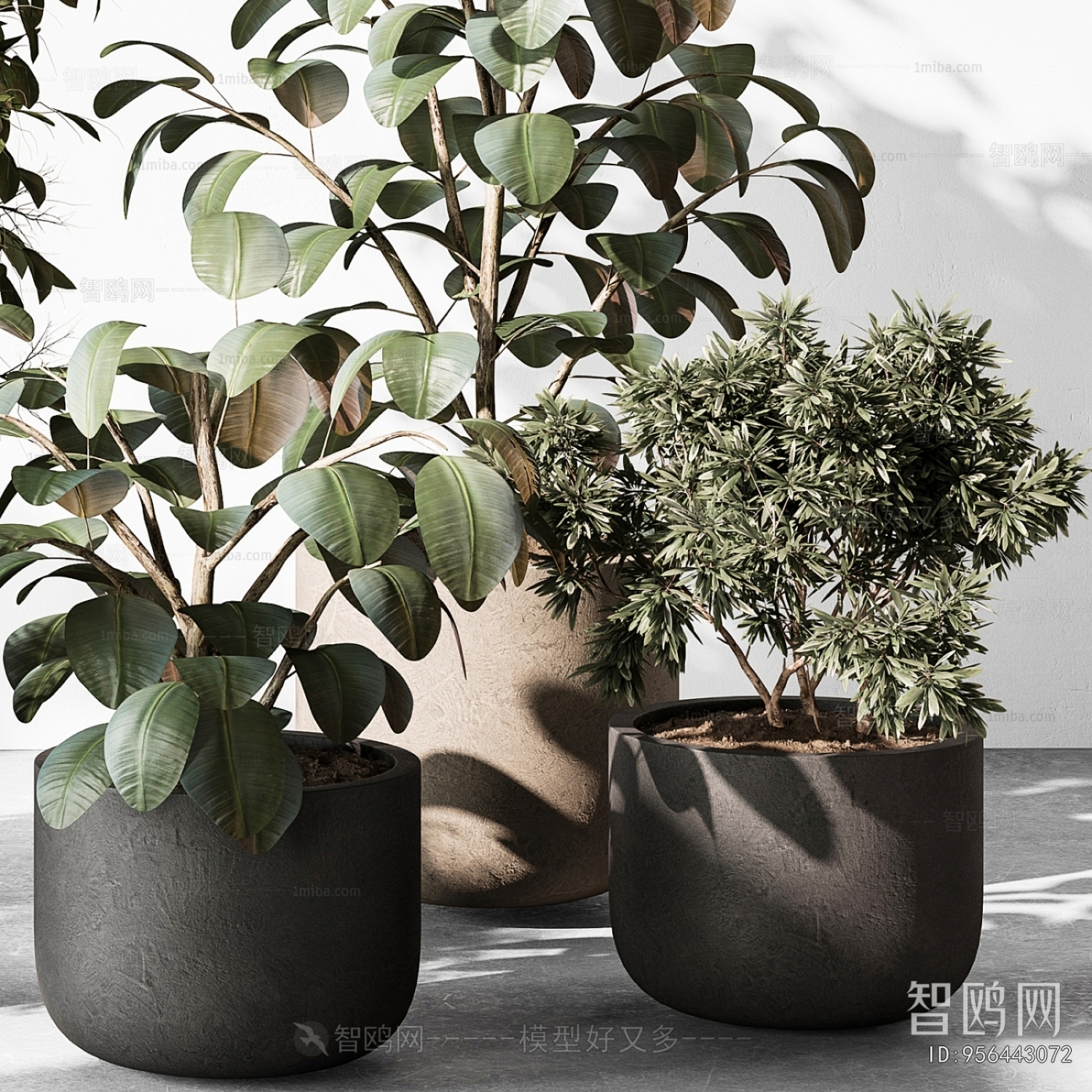 Modern Potted Green Plant