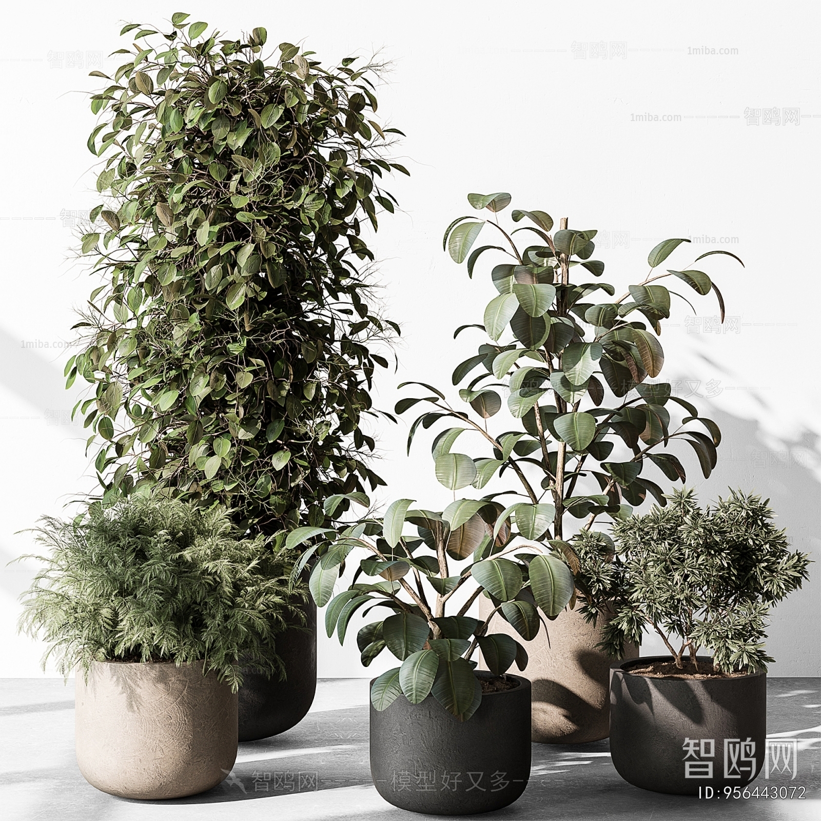 Modern Potted Green Plant