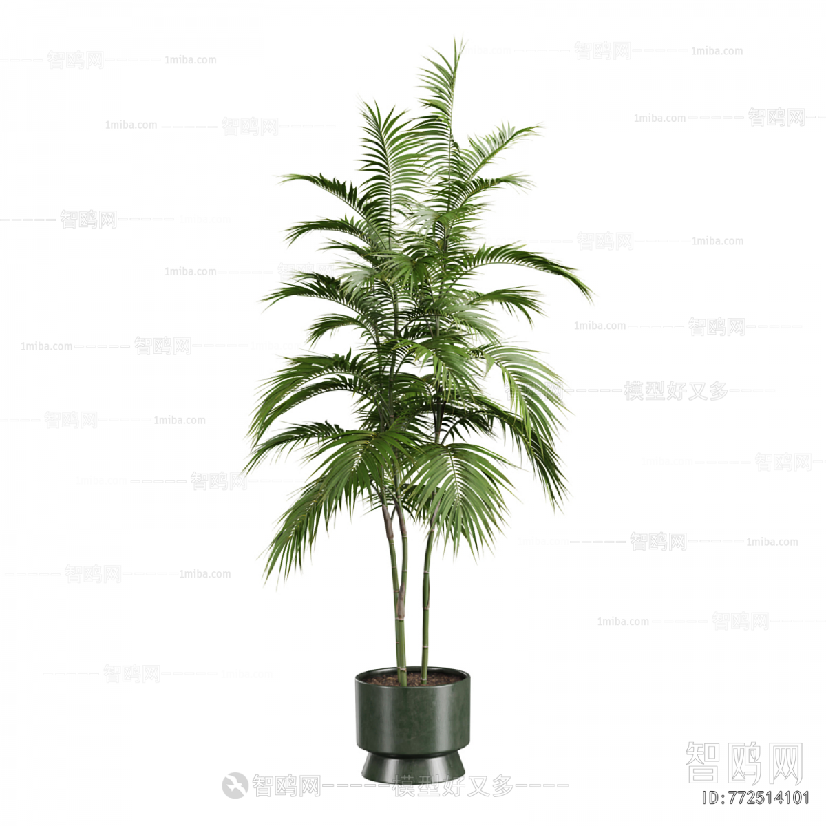 Modern Ground Green Plant Potted Plants