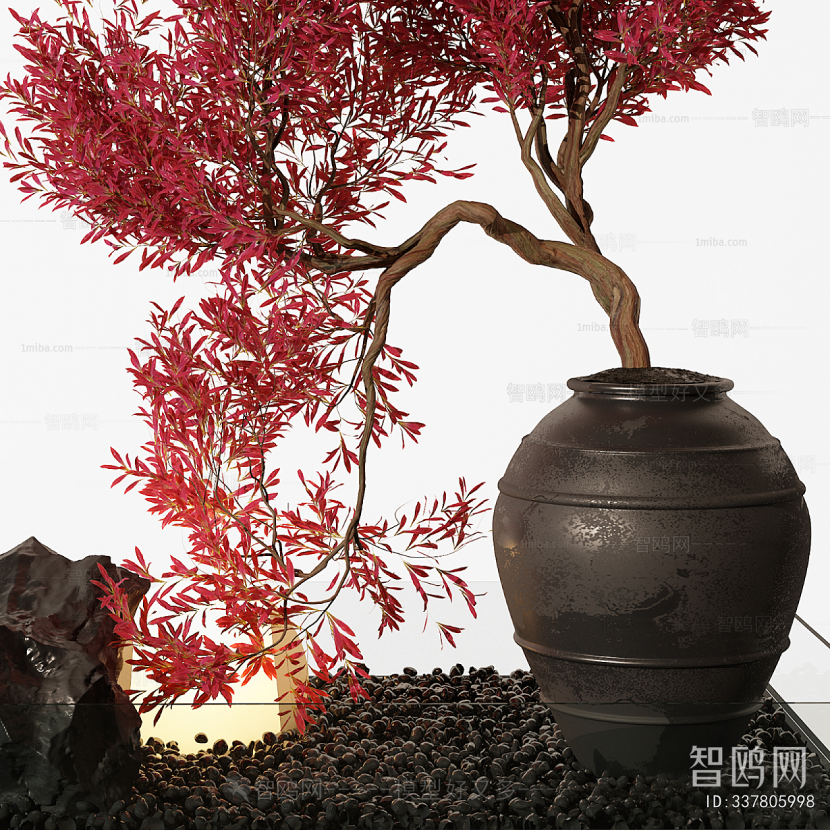 Wabi-sabi Style Bonsai