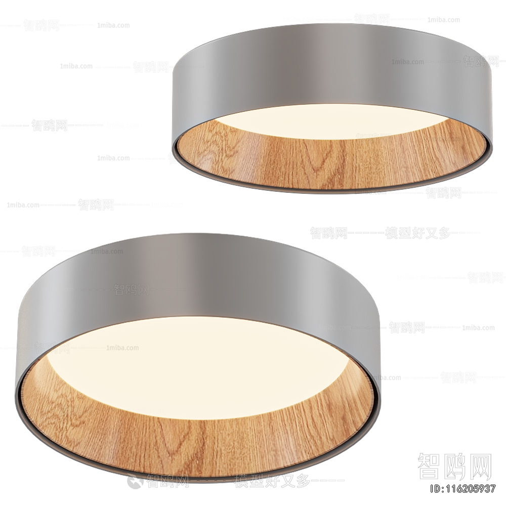 Modern Ceiling Ceiling Lamp