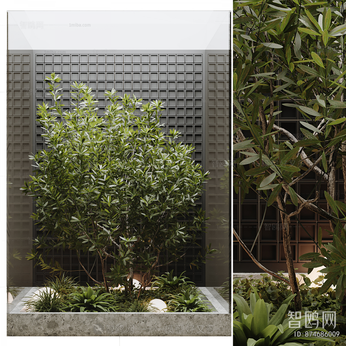 Modern Plant Landscaping