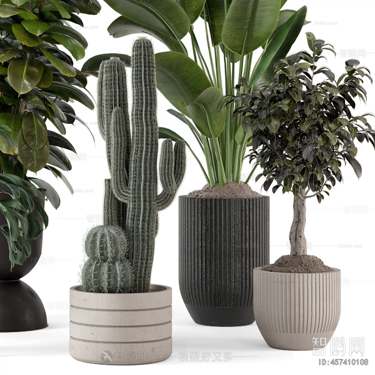 Modern Ground Green Plant Potted Plants