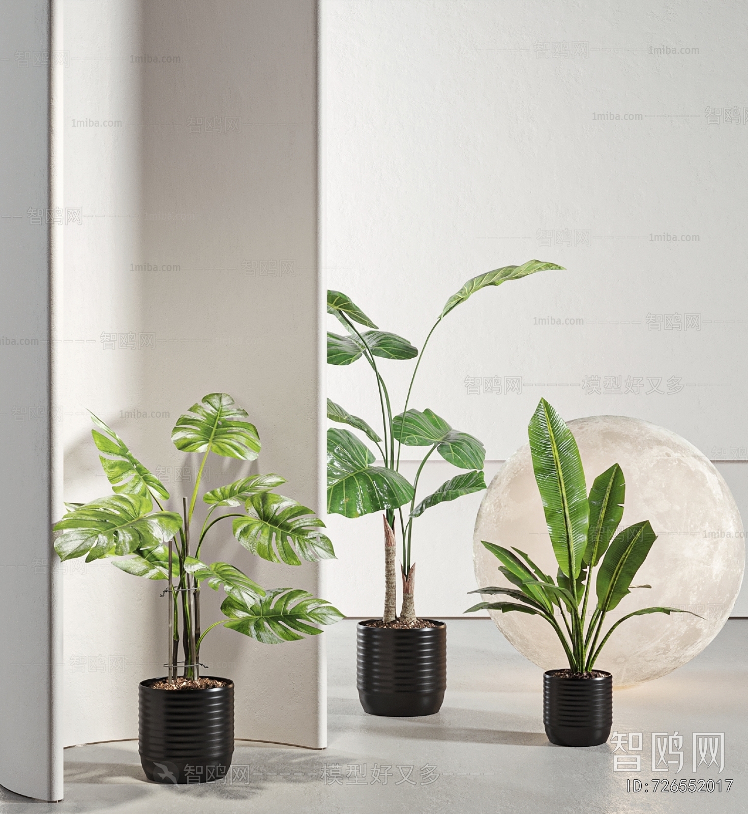 Modern Ground Green Plant Potted Plants