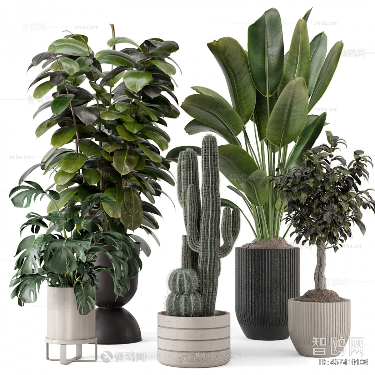 Modern Ground Green Plant Potted Plants