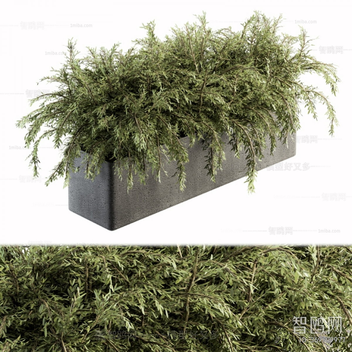 Modern Flower Bed, Flower Bowl, Flower Box