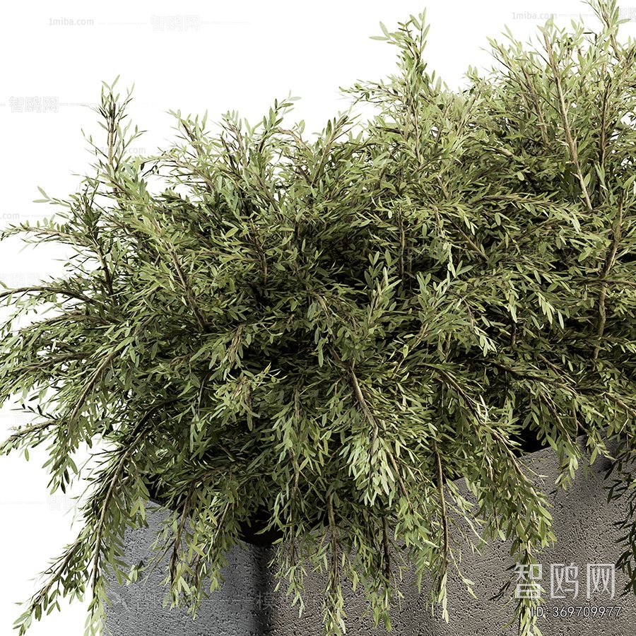 Modern Flower Bed, Flower Bowl, Flower Box