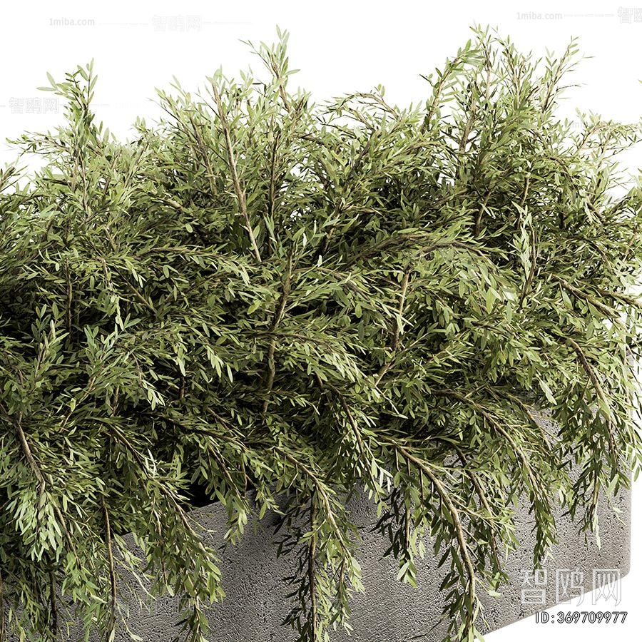 Modern Flower Bed, Flower Bowl, Flower Box