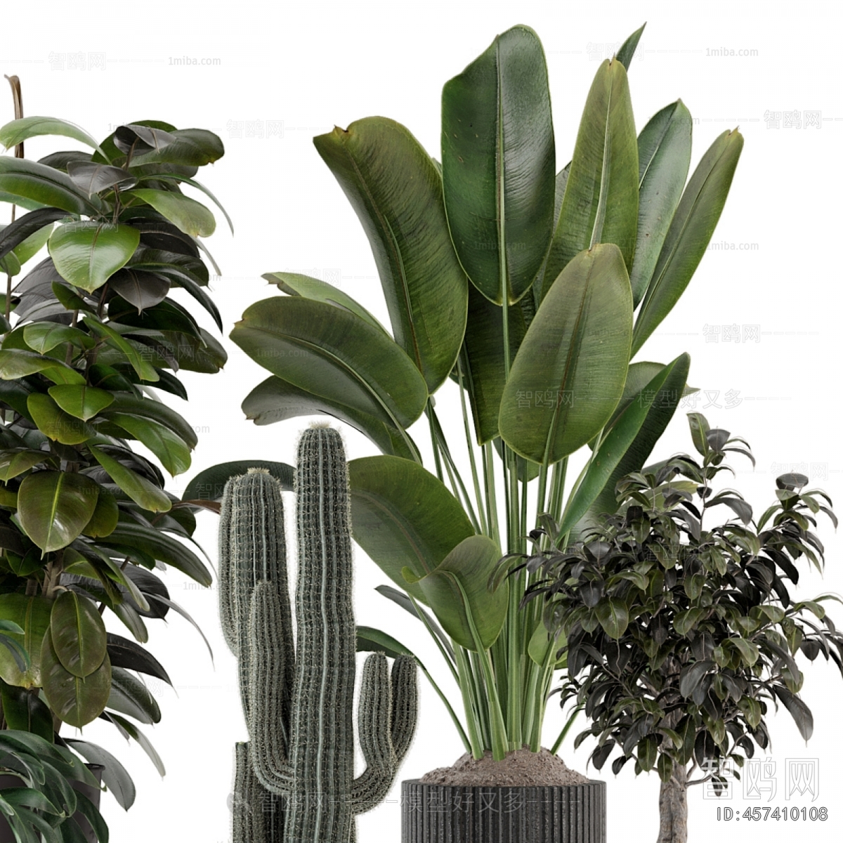 Modern Ground Green Plant Potted Plants