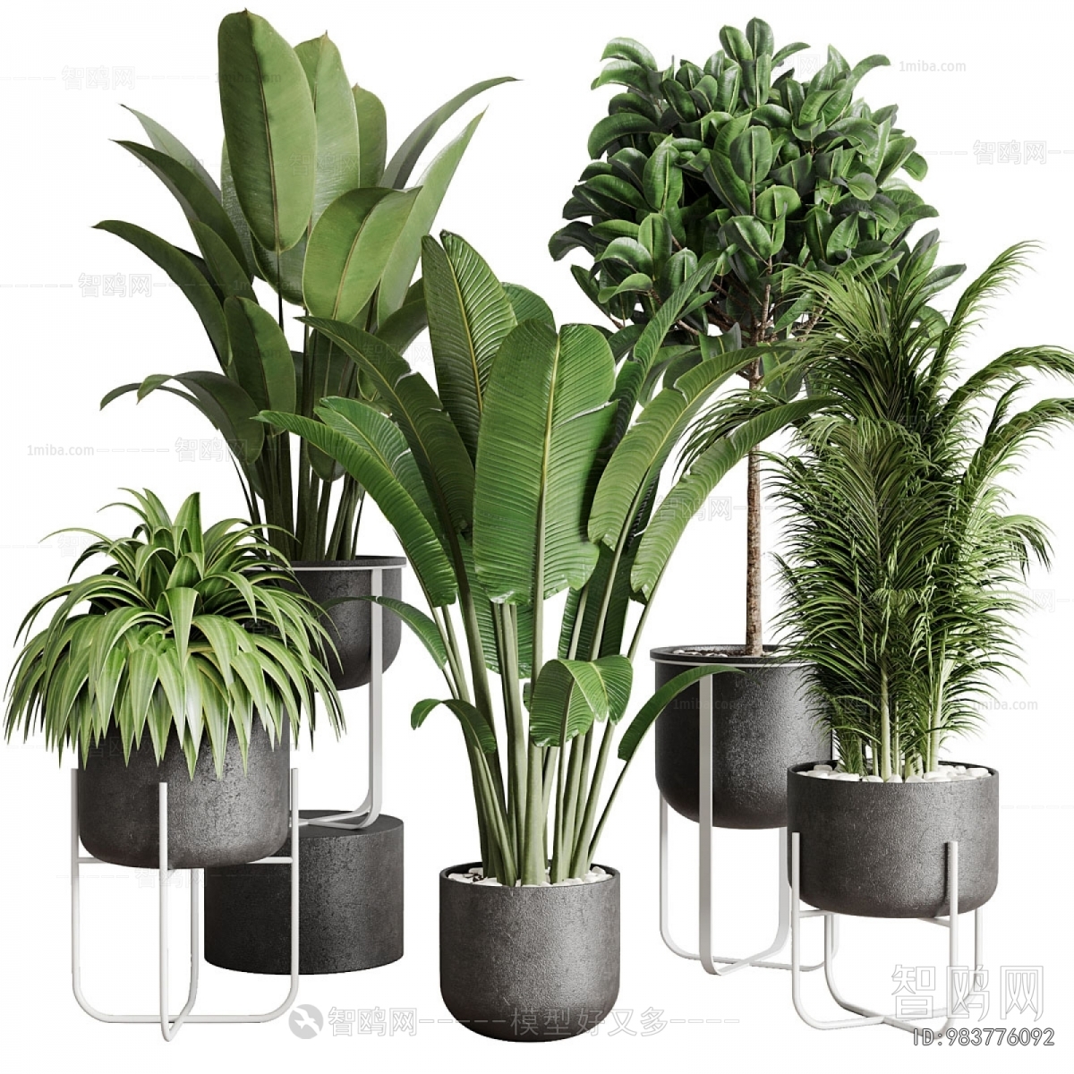 Modern Potted Green Plant