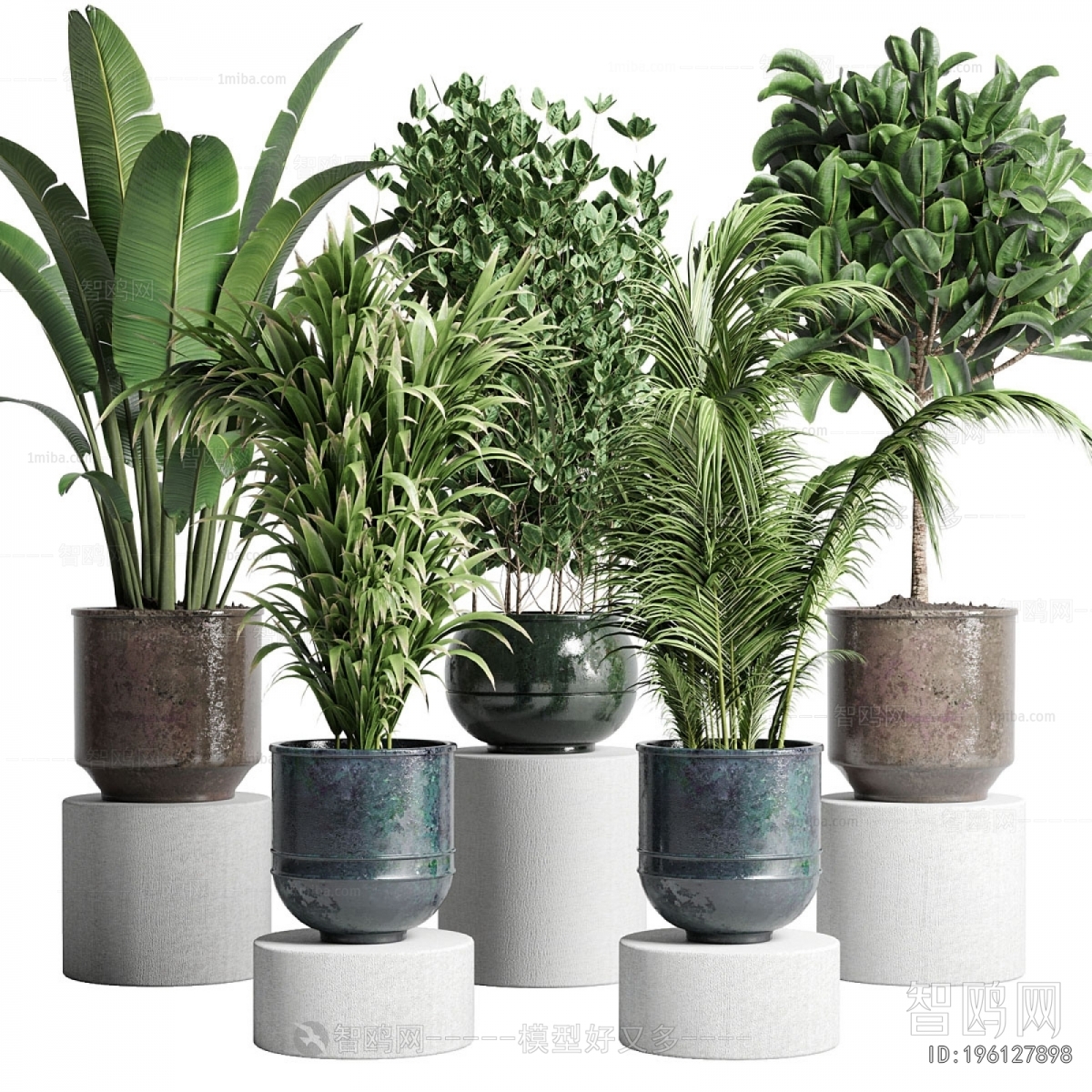 Modern Ground Green Plant Potted Plants