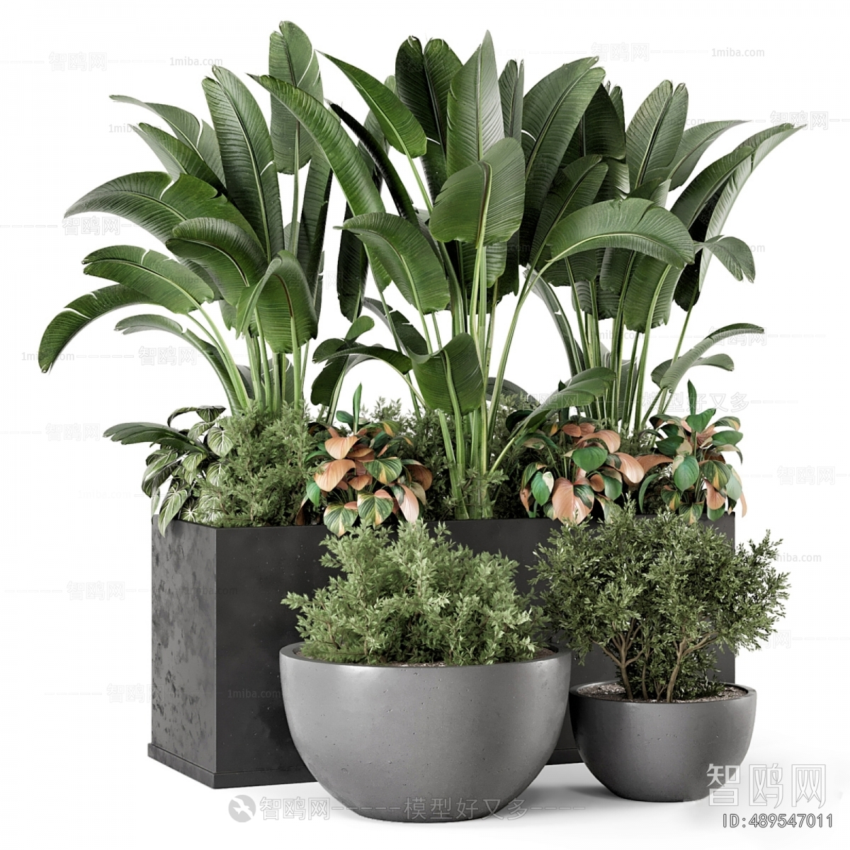 Modern Potted Green Plant