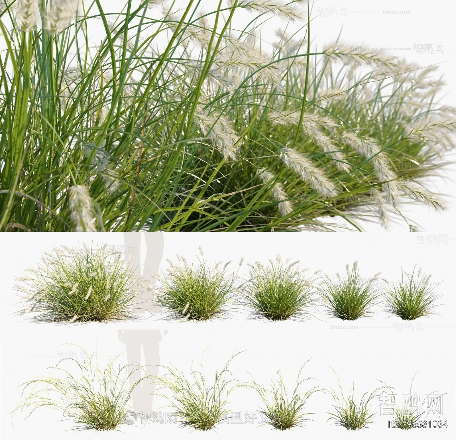 Modern The Grass