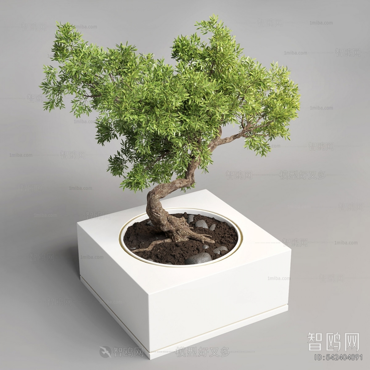 New Chinese Style Bonsai