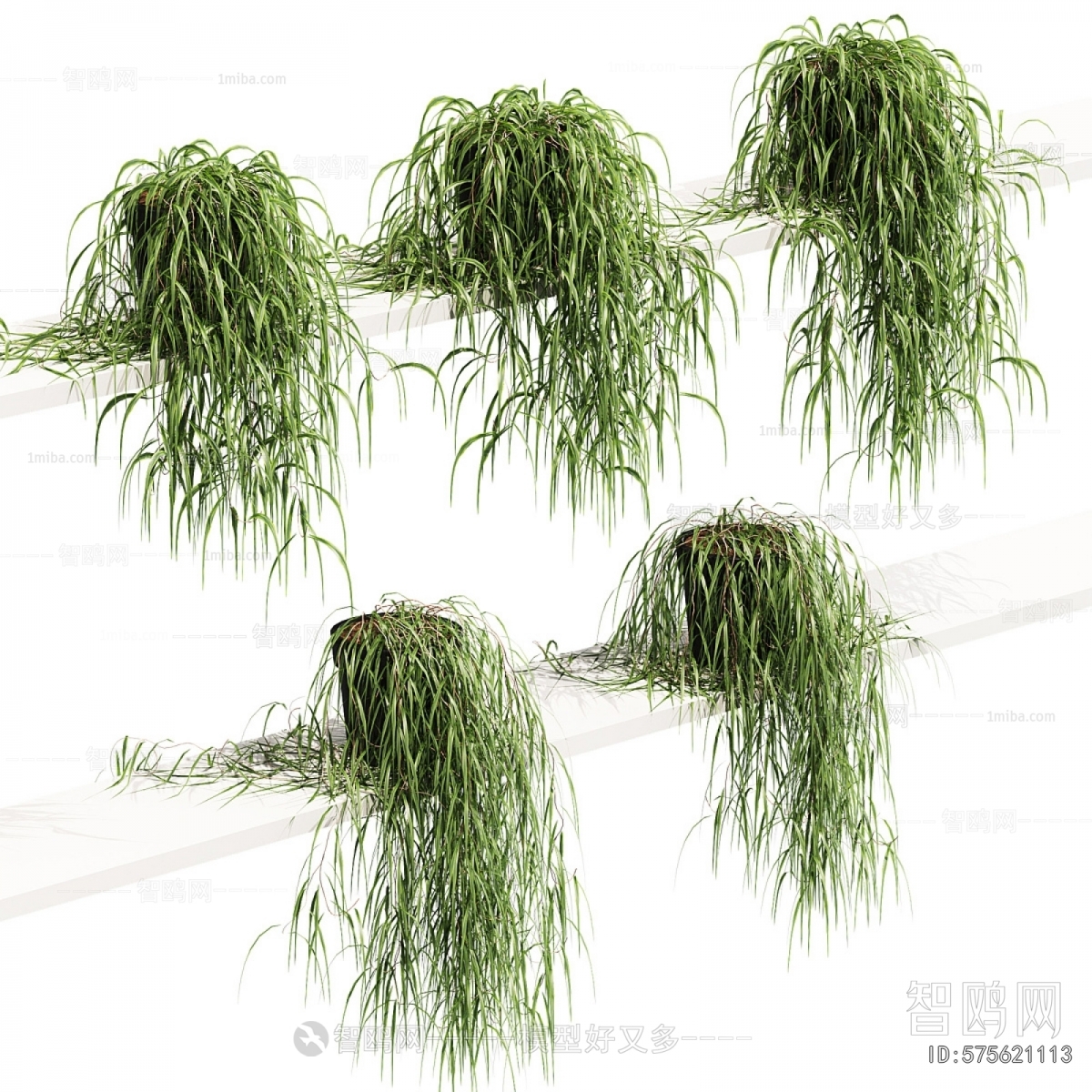 Modern Potted Green Plant