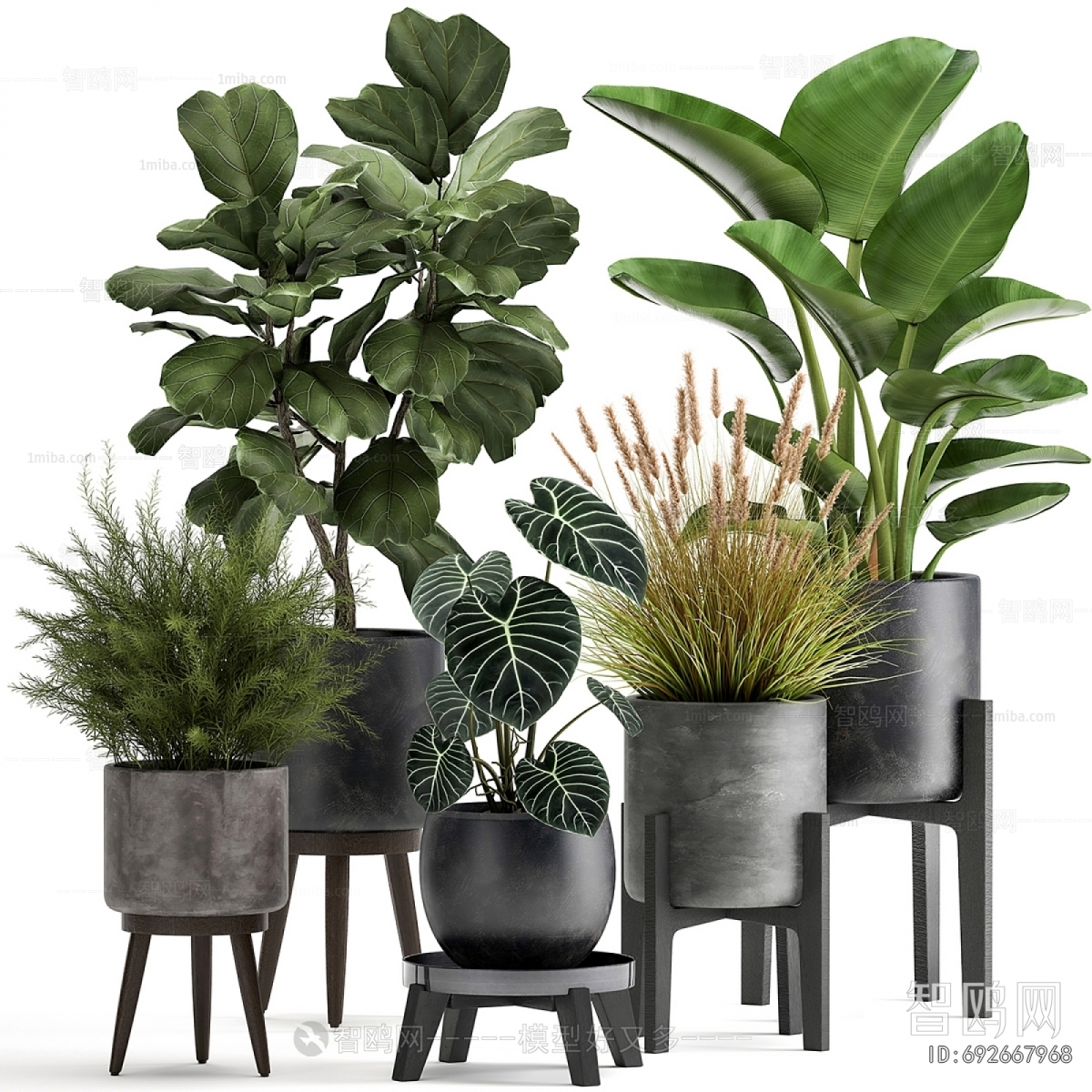 Modern Potted Green Plant