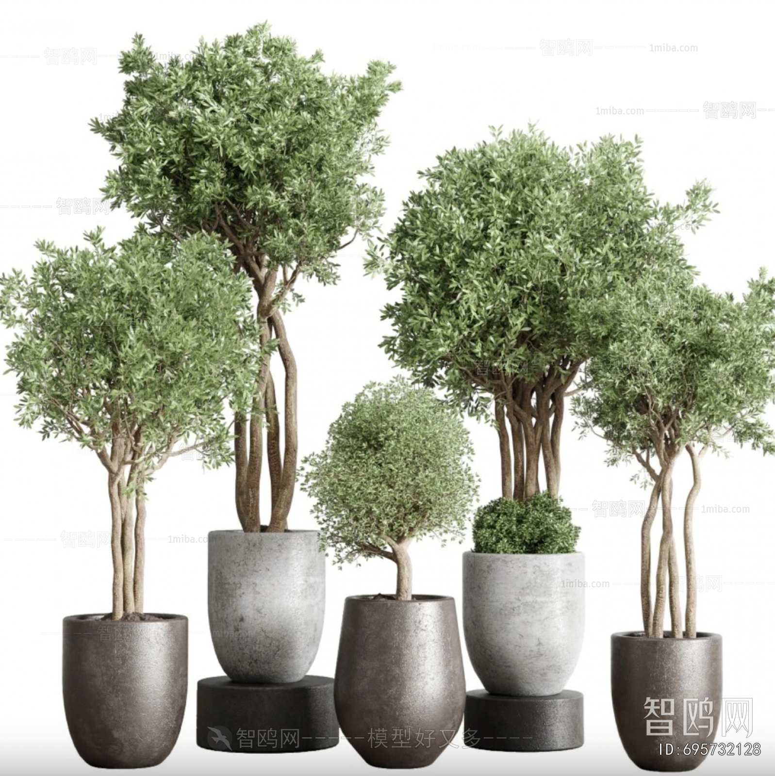 Modern Ground Green Plant Potted Plants