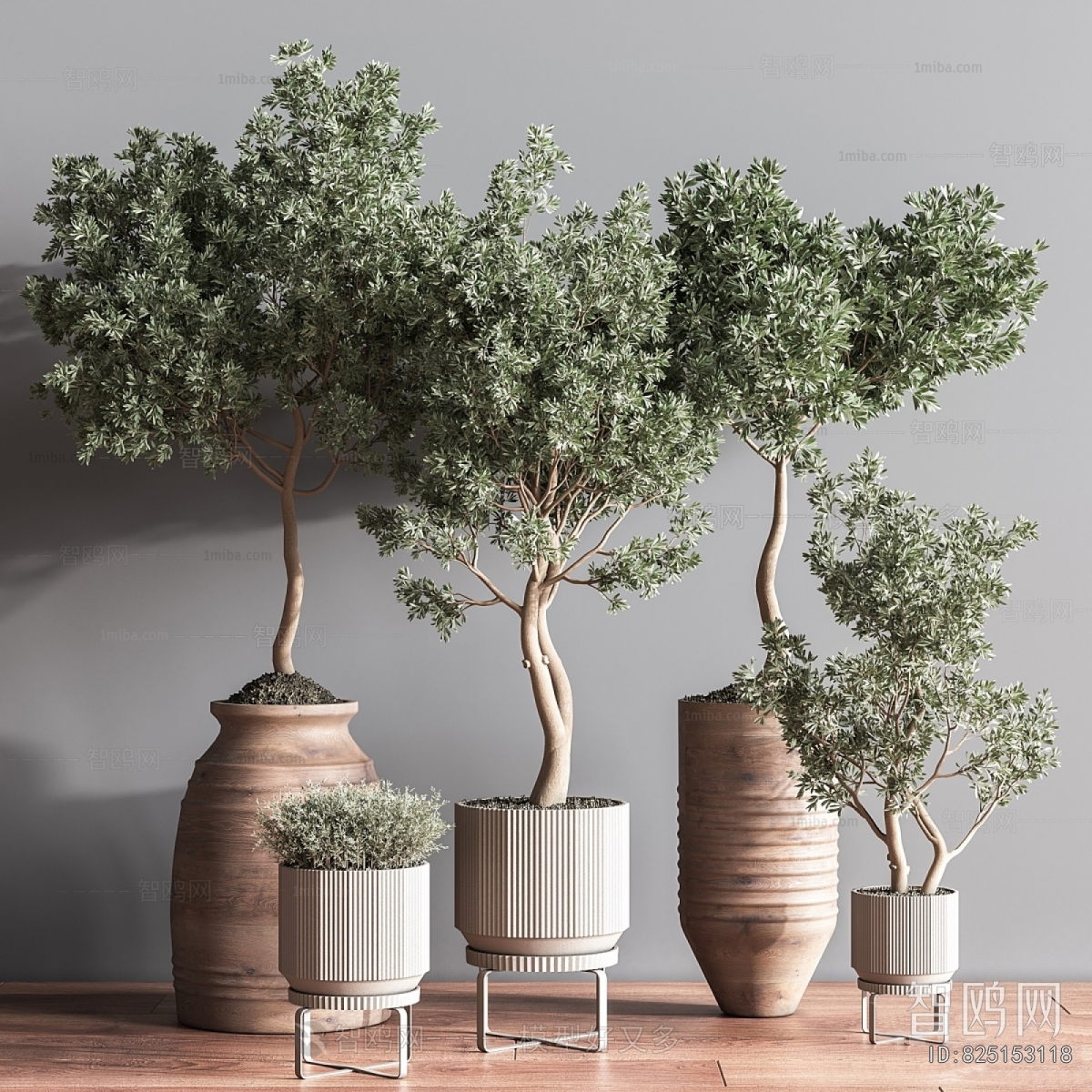 Modern Potted Green Plant