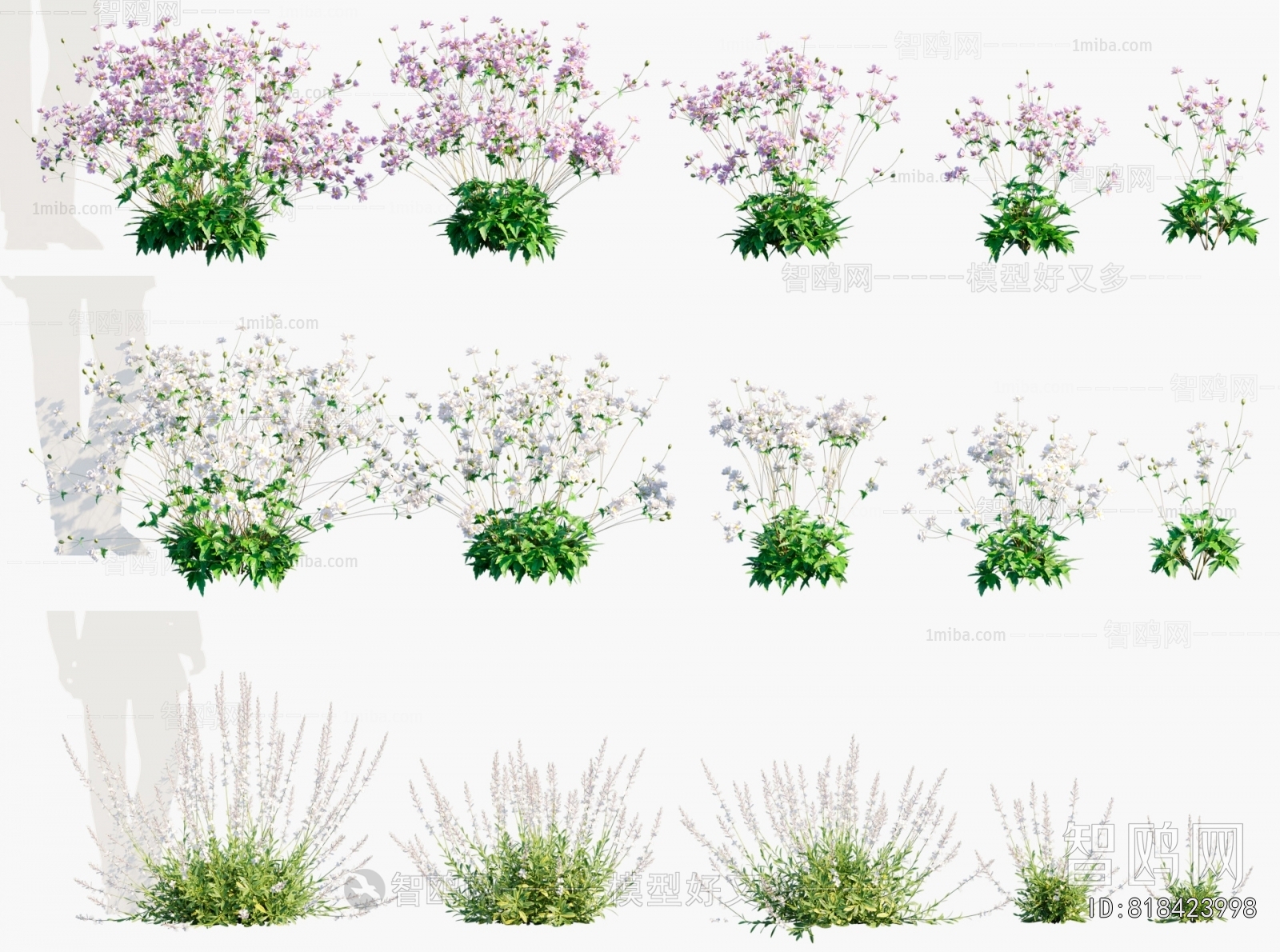 Modern Flowers And Grass