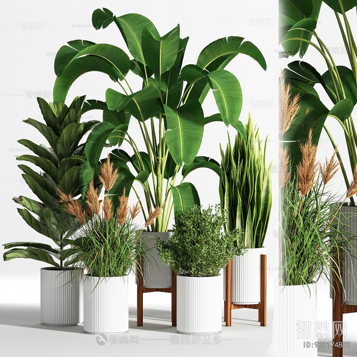 Modern Ground Green Plant Potted Plants