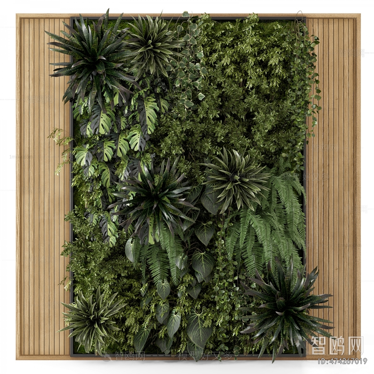 Modern Plant Wall