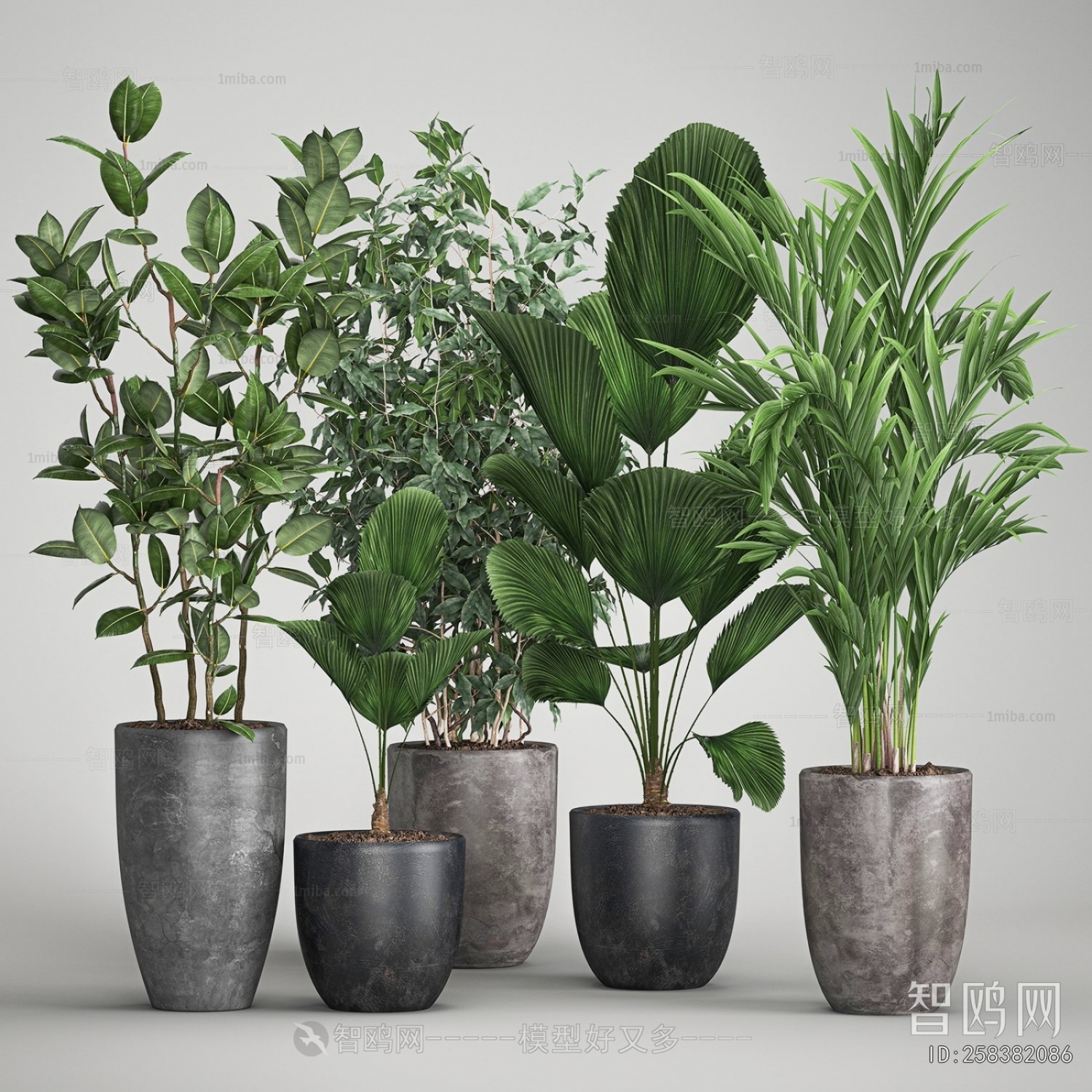 Modern Ground Green Plant Potted Plants