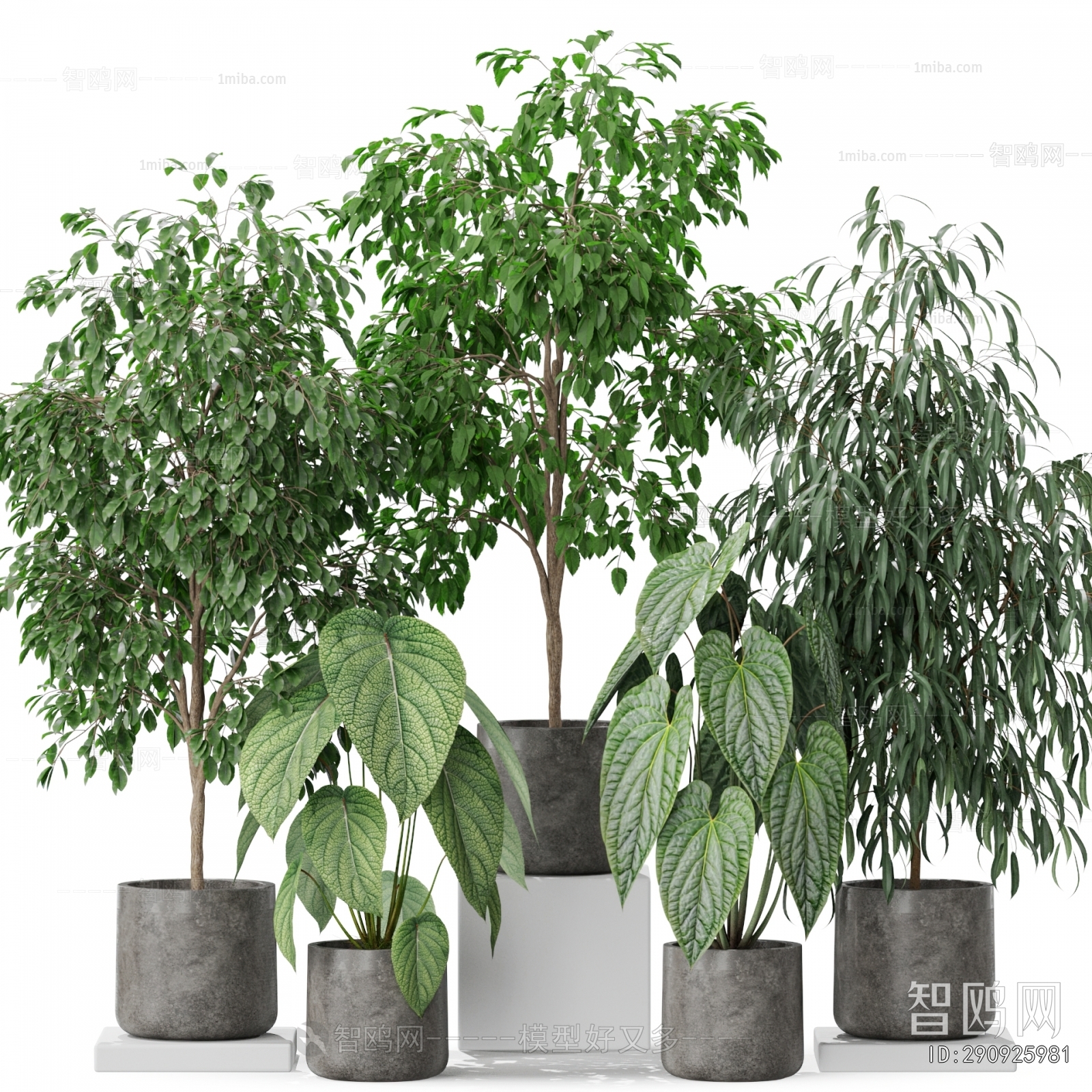 Modern Ground Green Plant Potted Plants