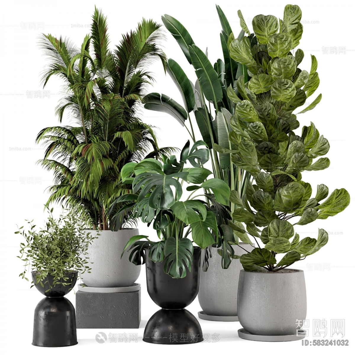 Modern Potted Green Plant