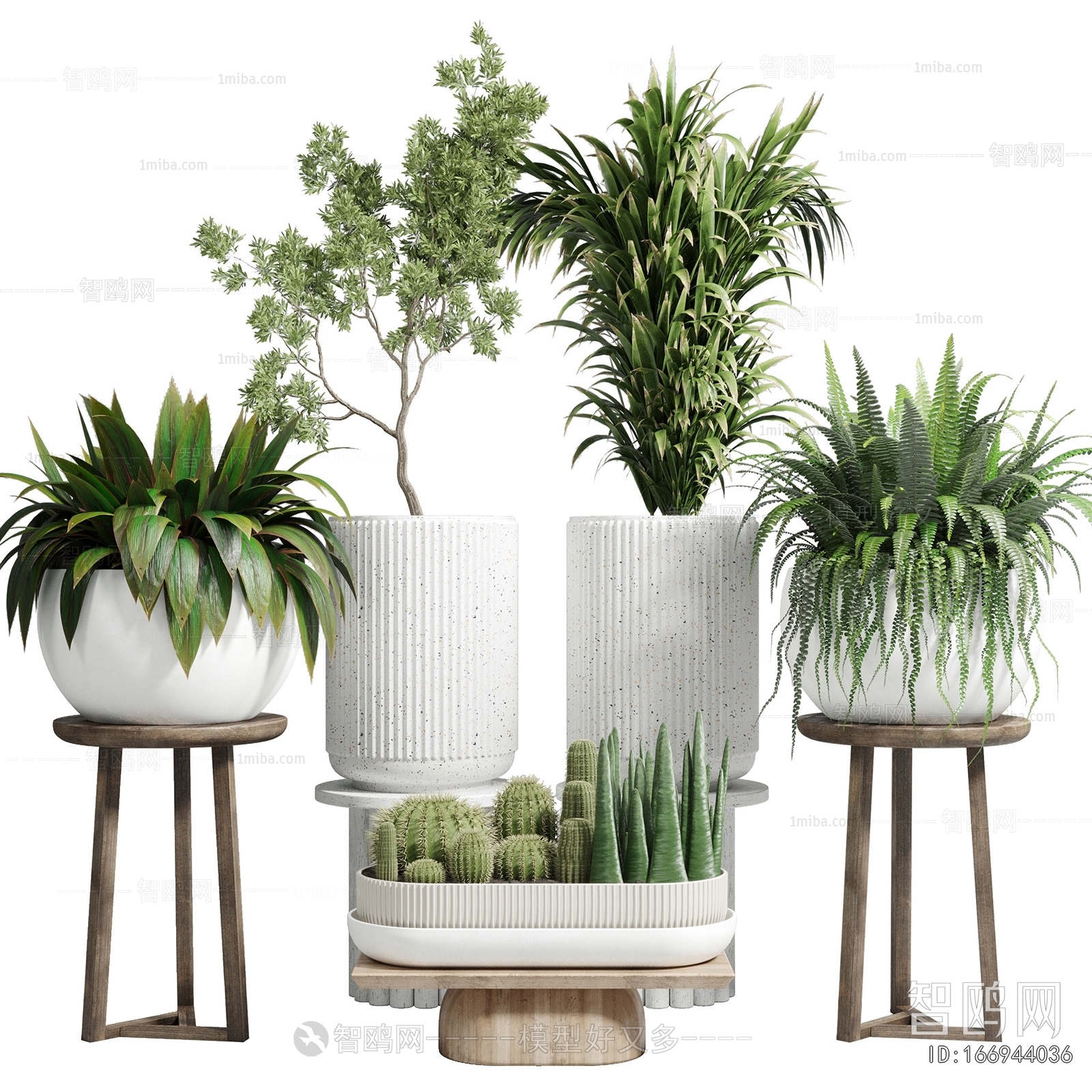 Modern Potted Green Plant