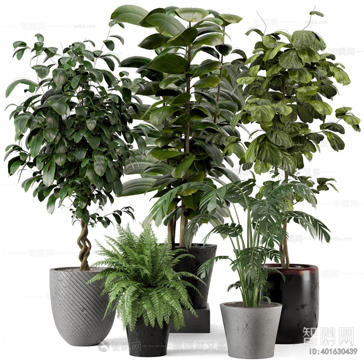 Modern Ground Green Plant Potted Plants