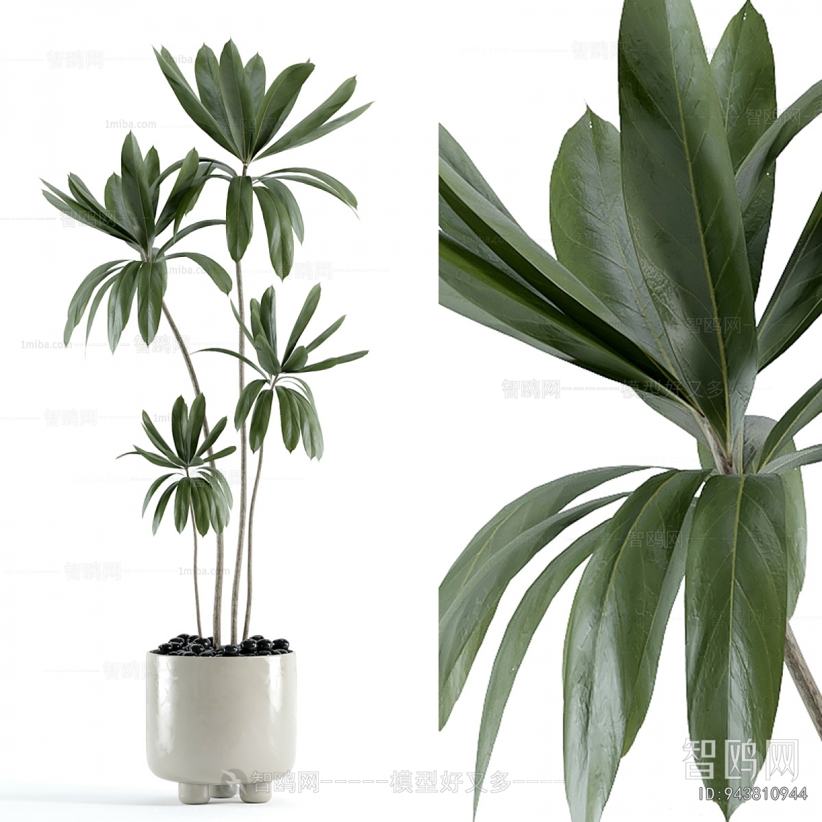 Modern Ground Green Plant Potted Plants