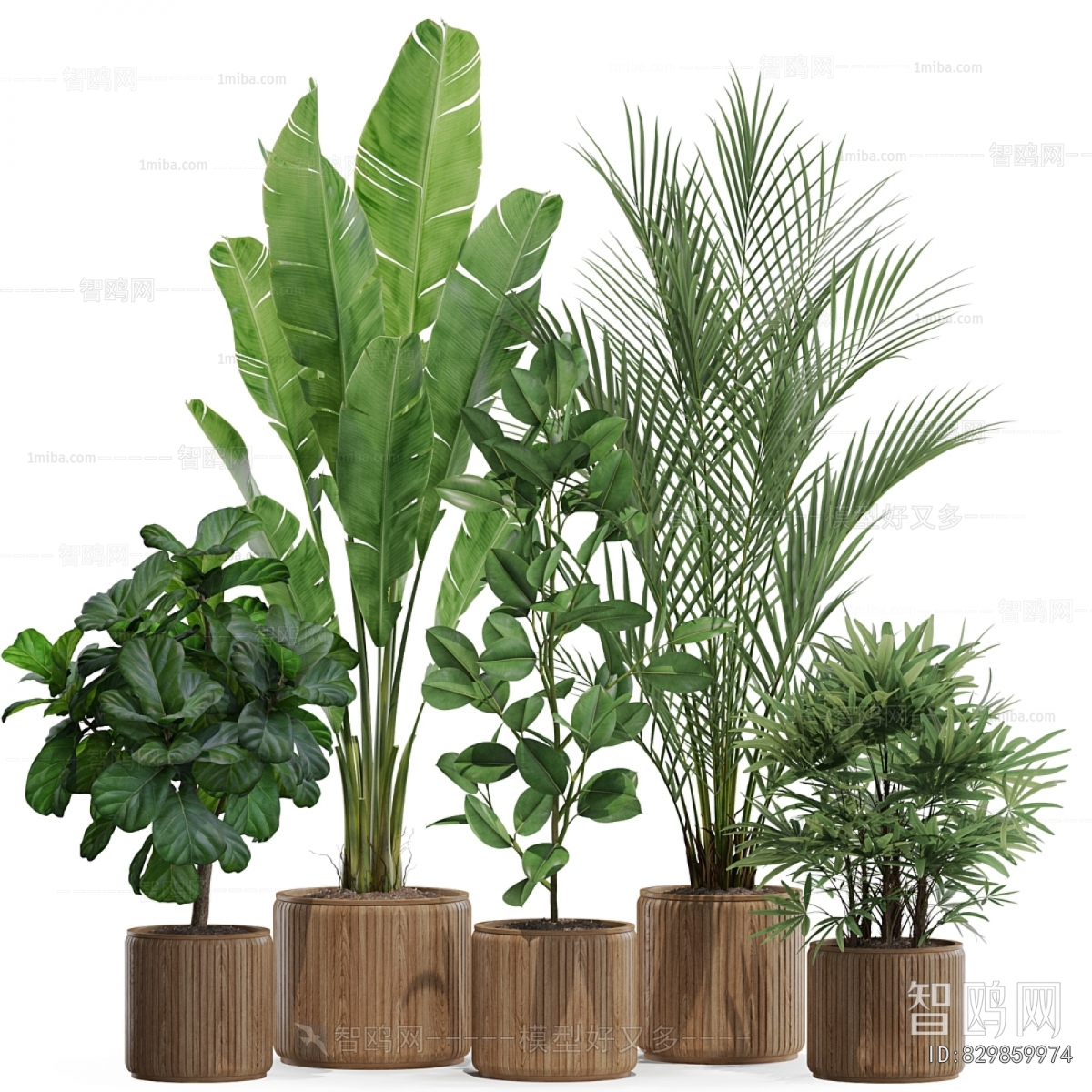 Modern Potted Green Plant