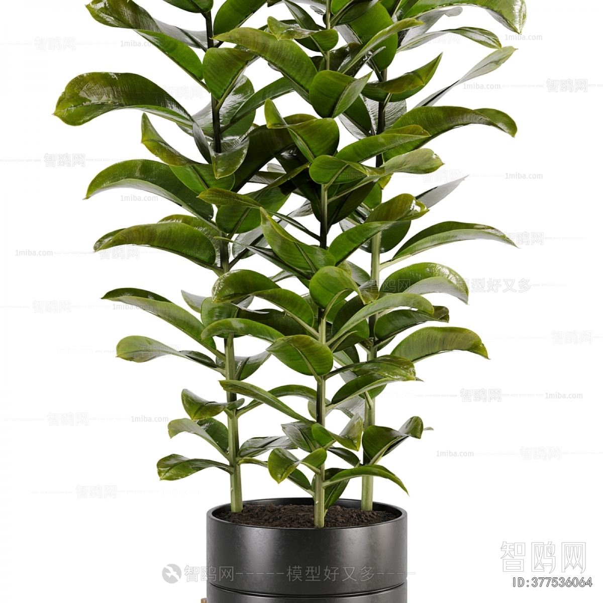 Modern Ground Green Plant Potted Plants