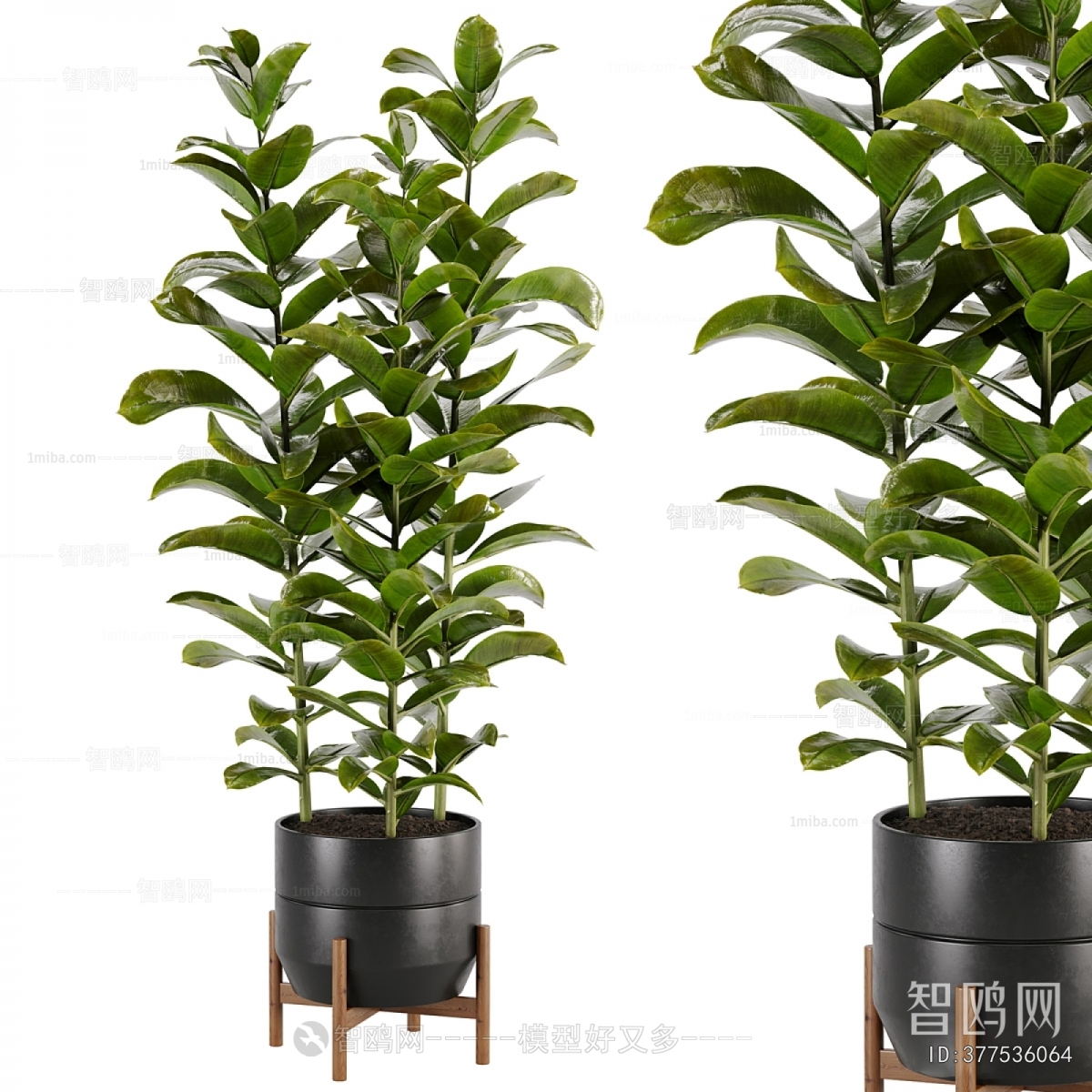 Modern Ground Green Plant Potted Plants