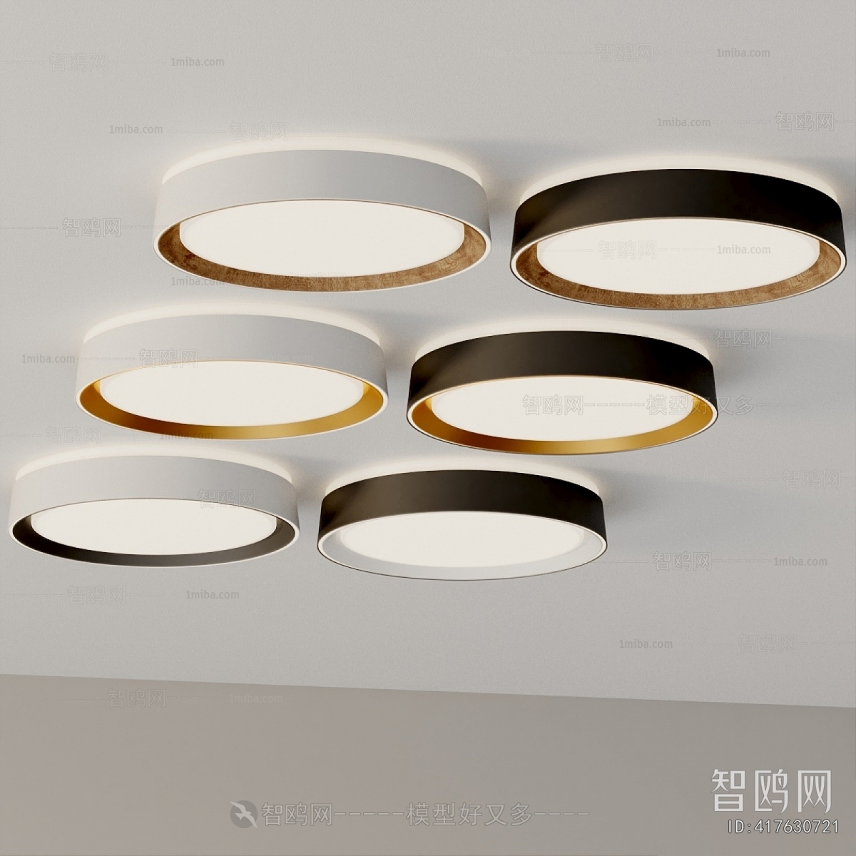 Modern Ceiling Ceiling Lamp