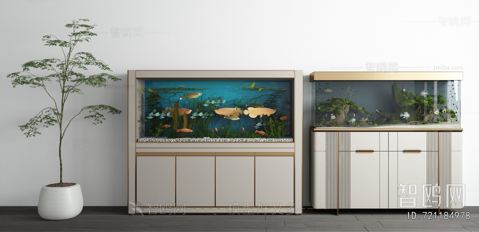 Modern Fish Tank