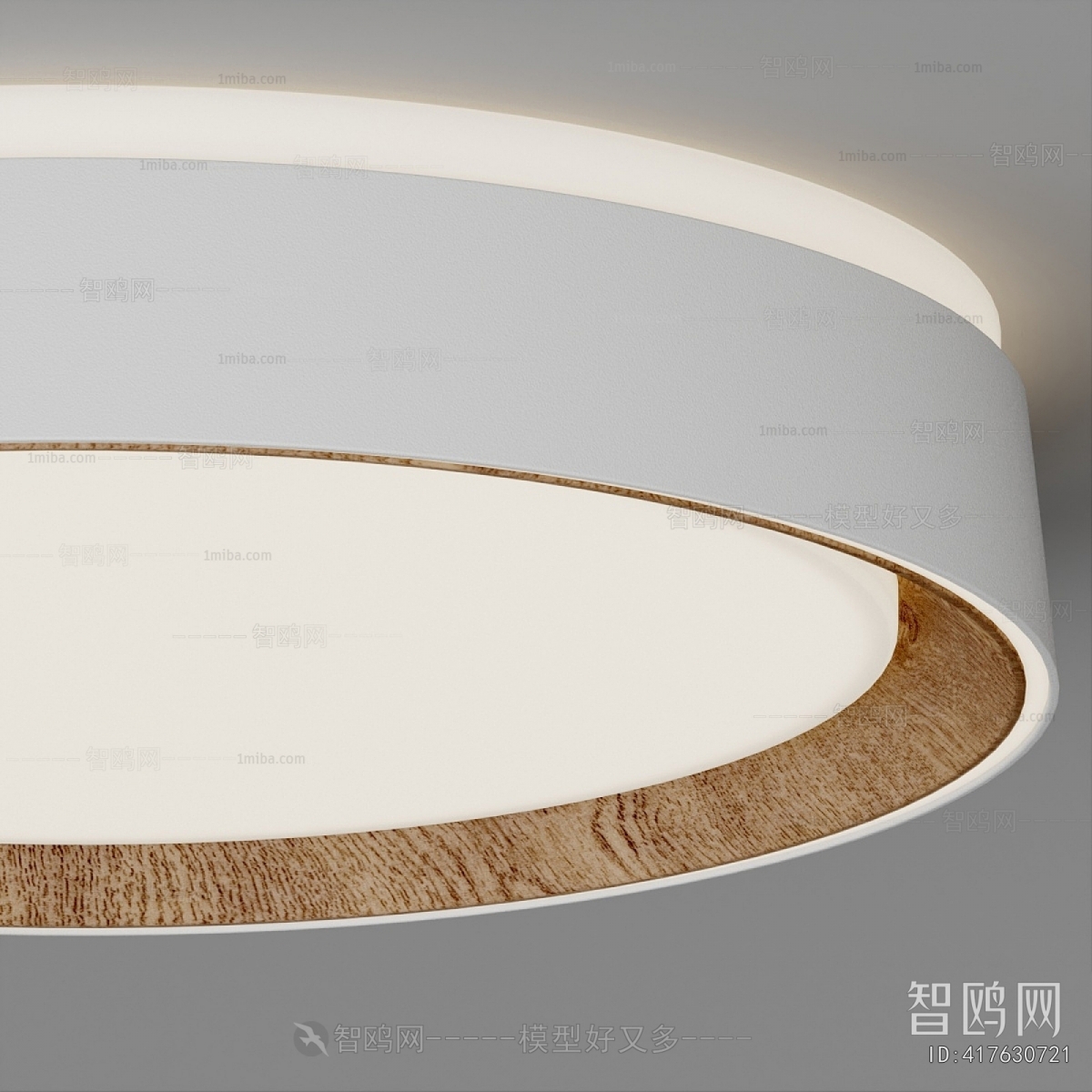 Modern Ceiling Ceiling Lamp