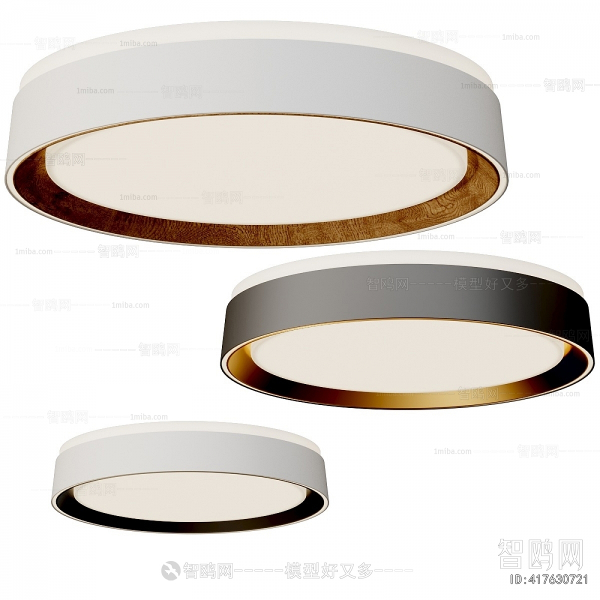 Modern Ceiling Ceiling Lamp